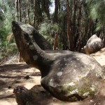 Phallic rock