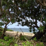 Mysig strand på östra Moloka'i